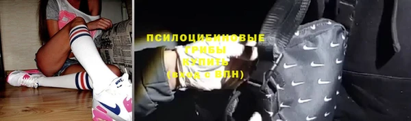 молекула духа Протвино